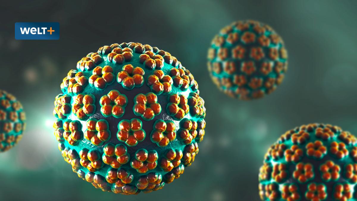 HPV-Impfung: Was bringt die Imfpung gegen die Geschlechtskrankheit? – WELT