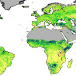 Deserts Greening from Rising CO2