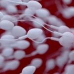 Sederet Penyebab Menurunnya Kualitas Sperma, Apa Saja? – Suara.com