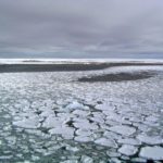 ‘It’s pretty incredible’: Antarctica floating ice level plummets to record low, alarming Nasa study reveals