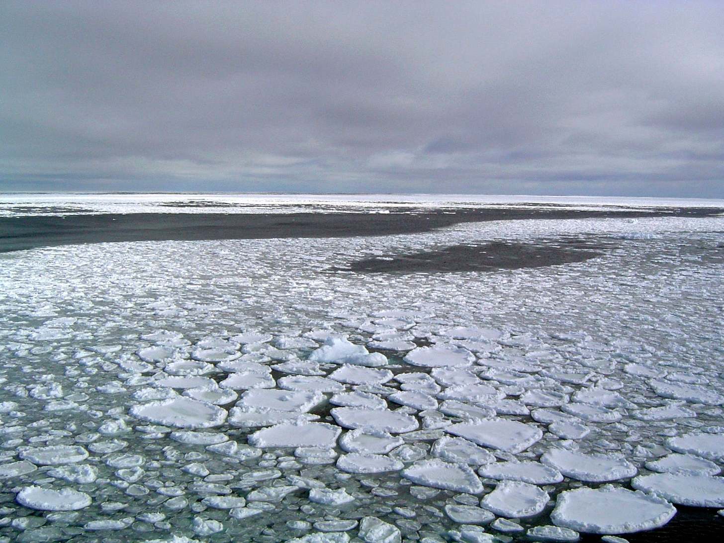 ‘It’s pretty incredible’: Antarctica floating ice level plummets to record low, alarming Nasa study reveals