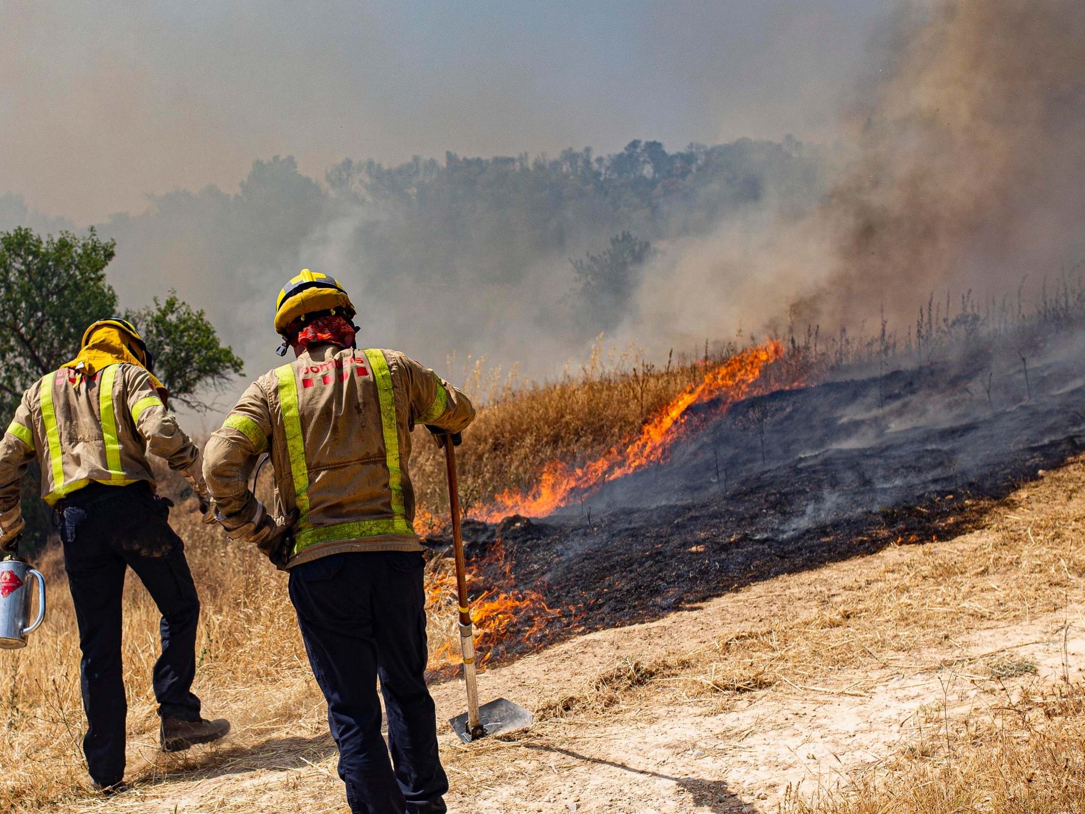 June was hottest month ever recorded on Earth, European satellite agency announces