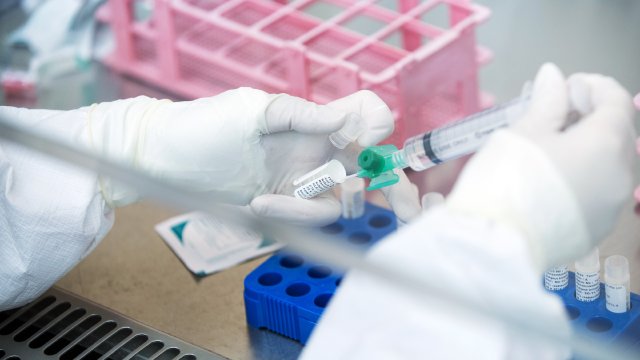 Une piste pour soigner les cancers des enfants sans chimiothérapie – L’Echo