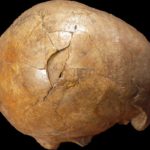 Ultimate cold case? 33,000-year-old murder mystery discovered in cave in Transylvania