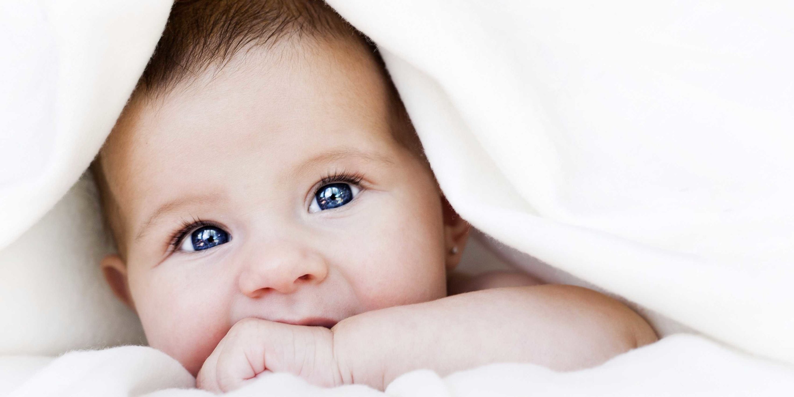 The CEO of a startup that planned to deliver babies in space says that it’s suspending operations over ‘serious ethical, safety, and medical concerns’