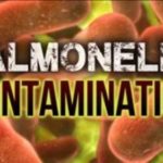 Health officials warn of salmonella outbreak linked to popular dog treats – KWQC-TV6