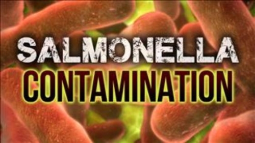 Health officials warn of salmonella outbreak linked to popular dog treats – KWQC-TV6