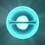 Scientists invent fast method for ‘directed evolution’ of molecules – Phys.org