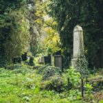 How a shortage of burial spaces can lead to greener graves