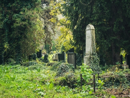 How a shortage of burial spaces can lead to greener graves