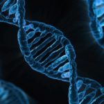 If you have this gene you could have schizophrenia, 18-year-long study finds – RT