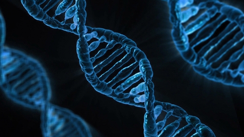 If you have this gene you could have schizophrenia, 18-year-long study finds – RT