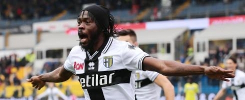 Clubs line up for Gervinho