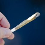 Marijuana has positive and negative effects on specific part of the brain: study – BlackburnNews.com