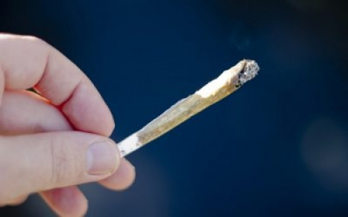 Marijuana has positive and negative effects on specific part of the brain: study – BlackburnNews.com