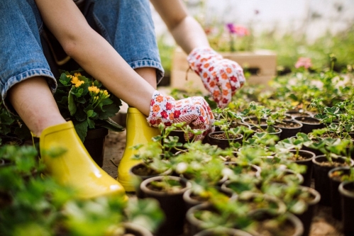 Yes, breast cancer survivors, you can lift weights, get manicures and garden – Washington Post