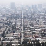 Y Combinator-backed Project Wren is aiming to make carbon offsets more consumer friendly