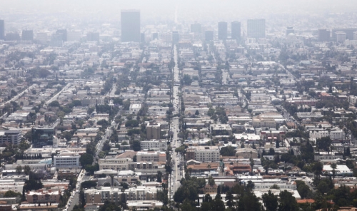 Y Combinator-backed Project Wren is aiming to make carbon offsets more consumer friendly