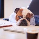 Why Being Bored Is Good | The Walrus