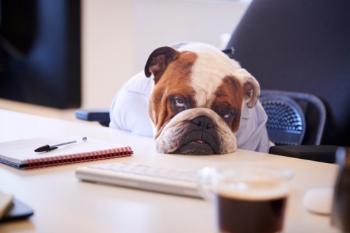 Why Being Bored Is Good | The Walrus