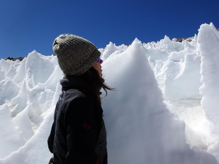 Snow algae found in ‘ice spires’ could suggest there is alien life on Pluto