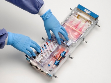 Space moss, stem cells and more are on their way to the ISS