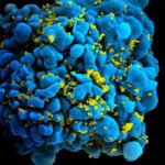 Scientists identify new virus-killing protein – Phys.org