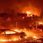 Focus Features developing survival film Paradise, about California’s deadliest wildfire