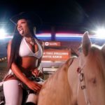 Beauty, brains, and braggadocio: 7 fast facts about Megan Thee Stallion