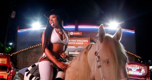 Beauty, brains, and braggadocio: 7 fast facts about Megan Thee Stallion