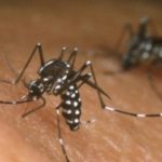 Arizona county sees increase in cases of West Nile Virus – ABC15 Arizona