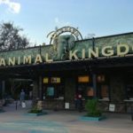 Construction Worker Falls in Hole in Animal Kingdom Parking Lot – News 13