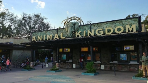 Construction Worker Falls in Hole in Animal Kingdom Parking Lot – News 13