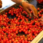 The hedge fund industry has a problem with managers cherry-picking performance. 1 group wants to stop that.