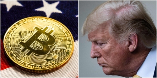 Expert: Trump’s Crypto-Bashing Staff Is Duping Him on Bitcoin
