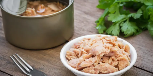 EU histamine survey reveals training gaps