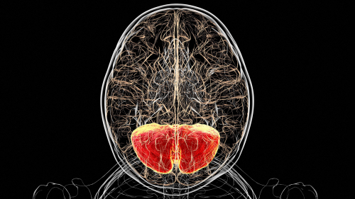 Modified Amino Acid Improves Neurologic Symptoms in Rare Genetic Disorder