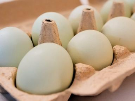 Egg producers will pay $3.3M and donate 53 million eggs to settle price fixing claims