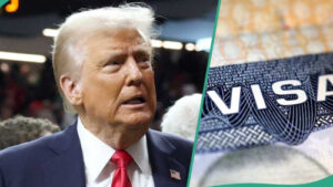 See the list of 10 US companies sponsoring visas for Nigerians