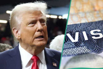 See the list of 10 US companies sponsoring visas for Nigerians