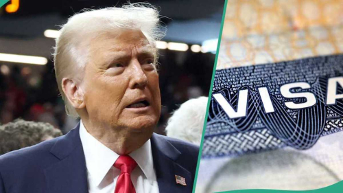 See the list of 10 US companies sponsoring visas for Nigerians