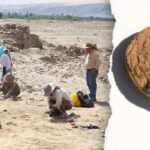 Archaeologists uncover freeze-dried potatoes older than the US in ‘excellent’ condition