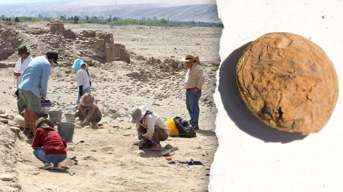 Archaeologists uncover freeze-dried potatoes older than the US in ‘excellent’ condition