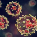 Lassa fever surges as Nigeria records 66 cases, 7 deaths in 3 weeks