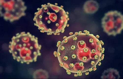 Lassa fever surges as Nigeria records 66 cases, 7 deaths in 3 weeks