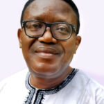The United States of  MAGAs, dreamers and  survivors, By Owei Lakemfa