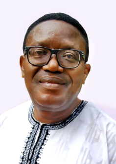 The United States of  MAGAs, dreamers and  survivors, By Owei Lakemfa
