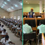 FG suspends 2027 WASSCE, NECO registration fee hike after public backlash
