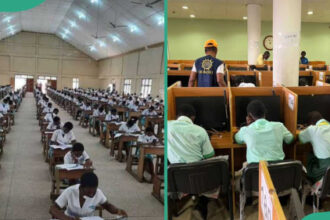 FG suspends 2027 WASSCE, NECO registration fee hike after public backlash