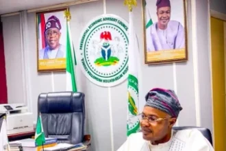 Police set to arraign Adeniyi Adeyemi on Tuesday over alleged fake PFIPC scheme
